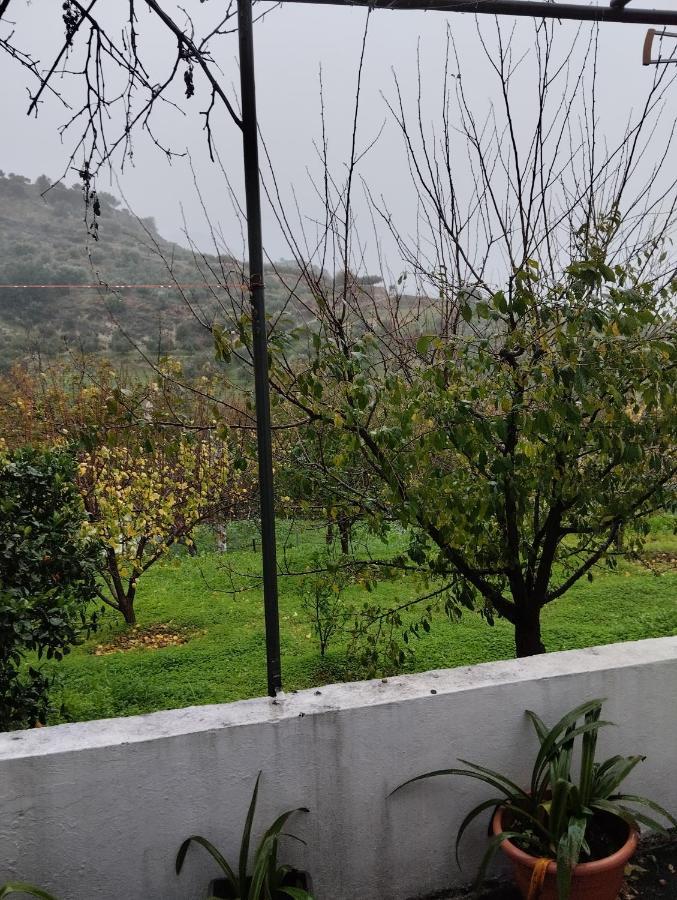 Aggelina * Σάρχος